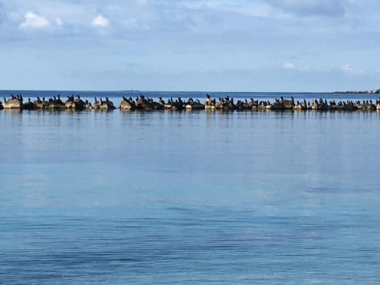 Appartamento Il Mare di Alida Alghero Esterno foto