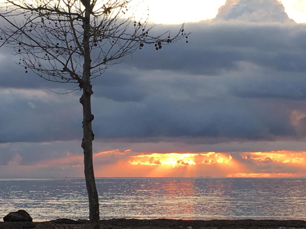 Appartamento Il Mare di Alida Alghero Esterno foto